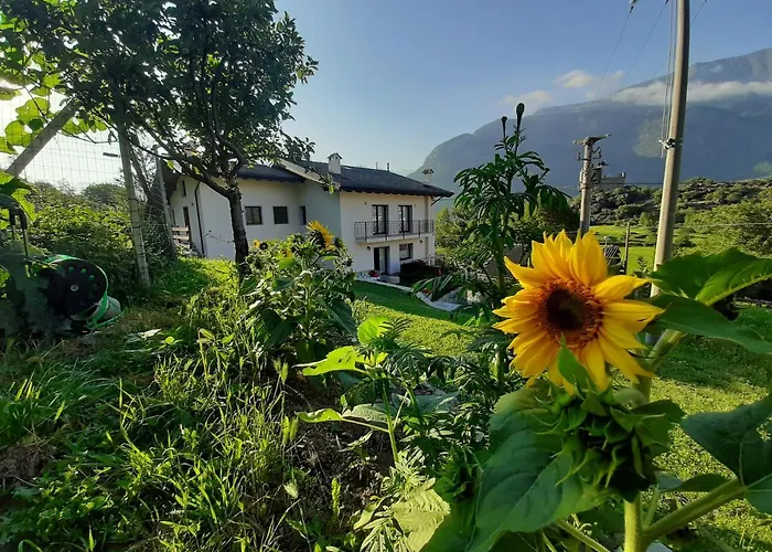La Maison De Joanna 2