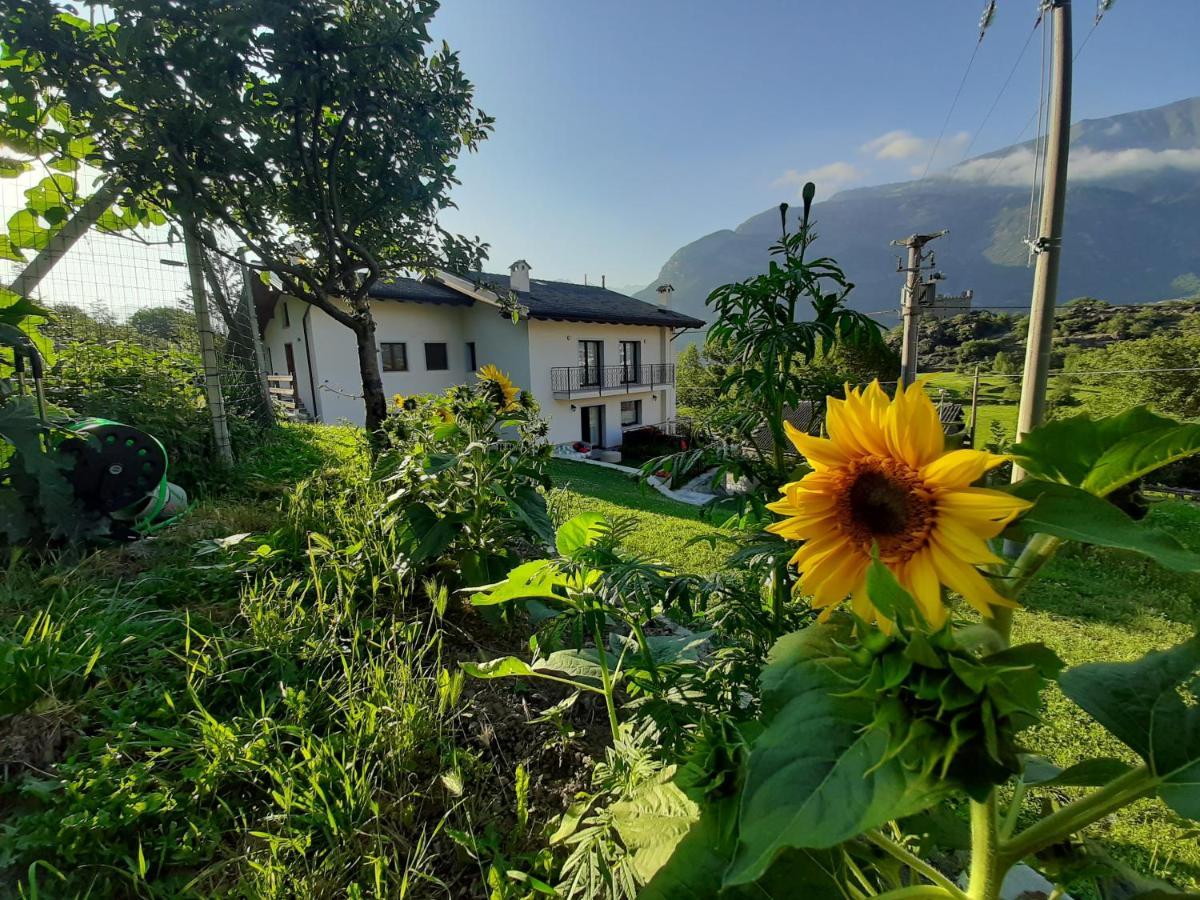 Vakantiehuis La Maison De Joanna 2 Châtillon